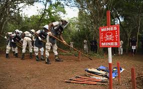 Lessons From The Movement to Eliminate Landmines